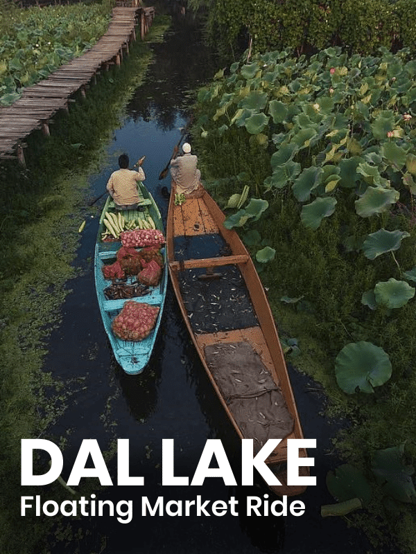 the-travel-square-packages-kashmir