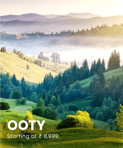 the-travel-square-packages-ooty